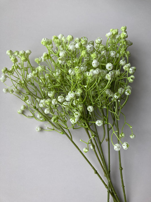 White Baby's Breath Bunch