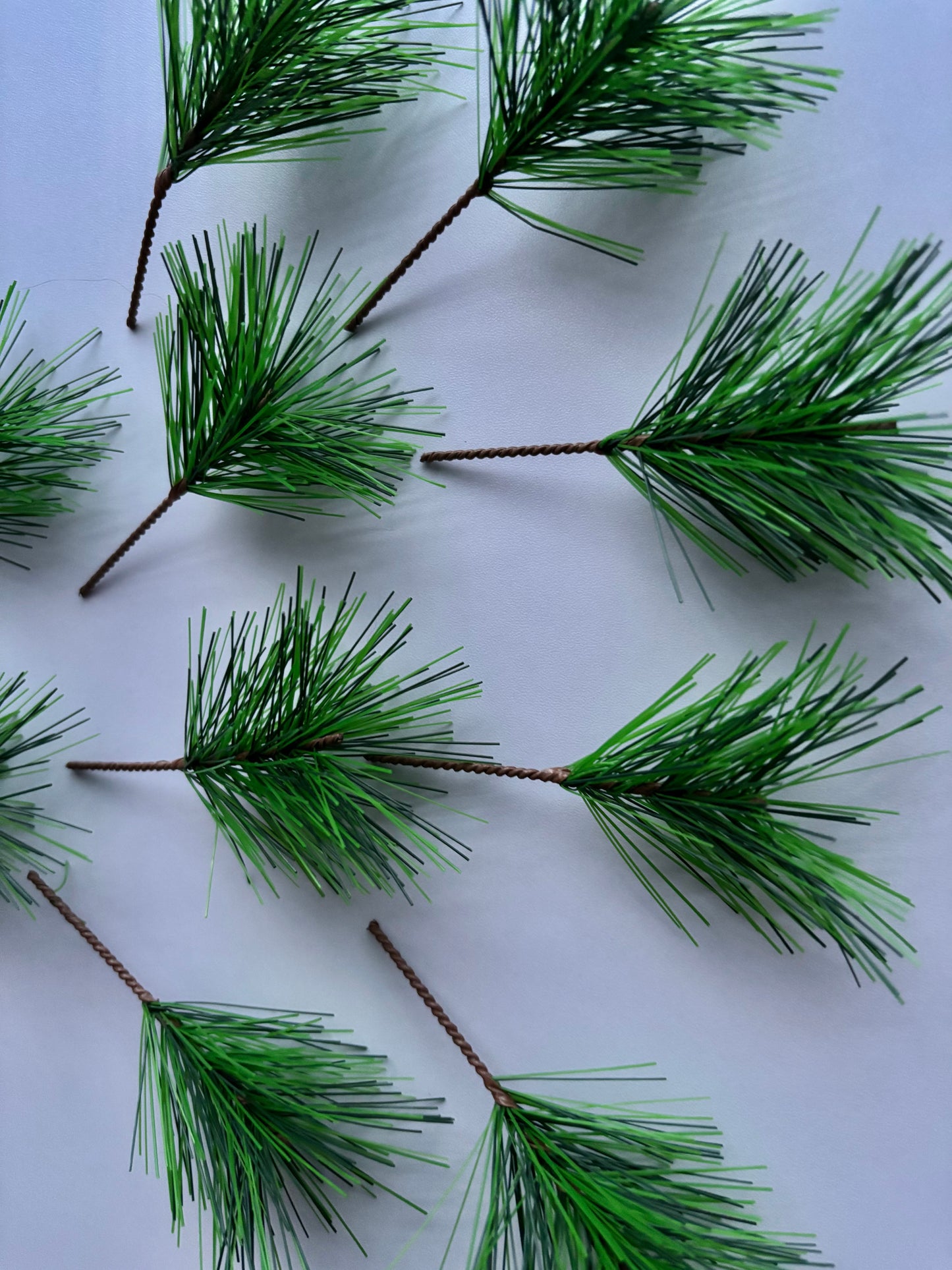 10 Pine Needle Stems