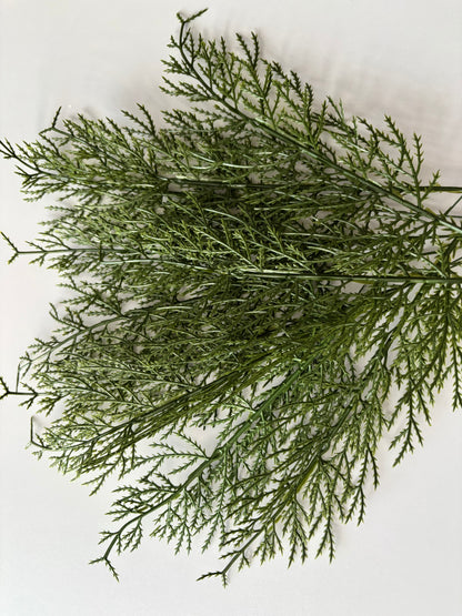 10 Cedar Single Stems