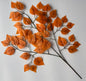 Autumn Ficus Foliage Spray