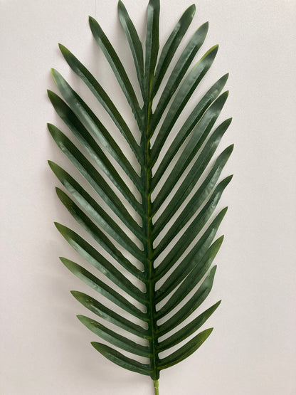 62cm Areca Palm Leaf