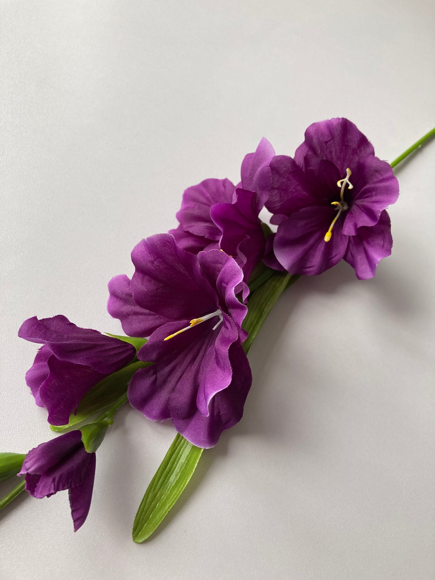 Purple Gladiolus Spray