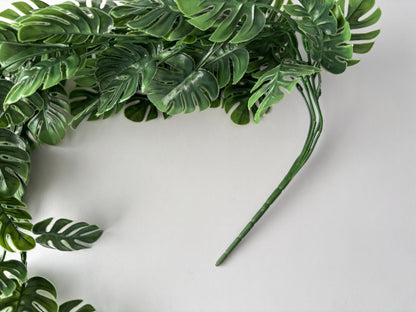 Trailing Monstera Leaf