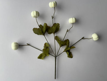 White Pumpkin Bunch