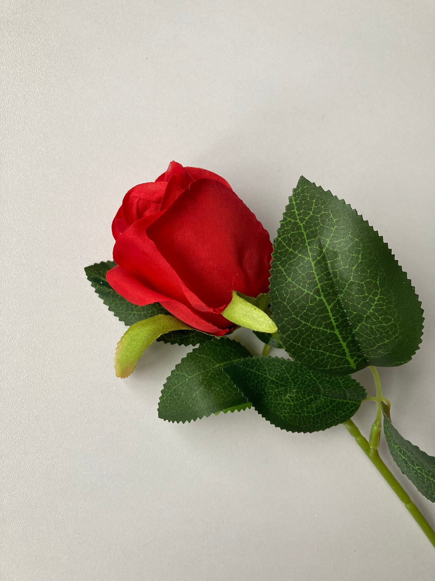 Short Stem Red Rose Bud