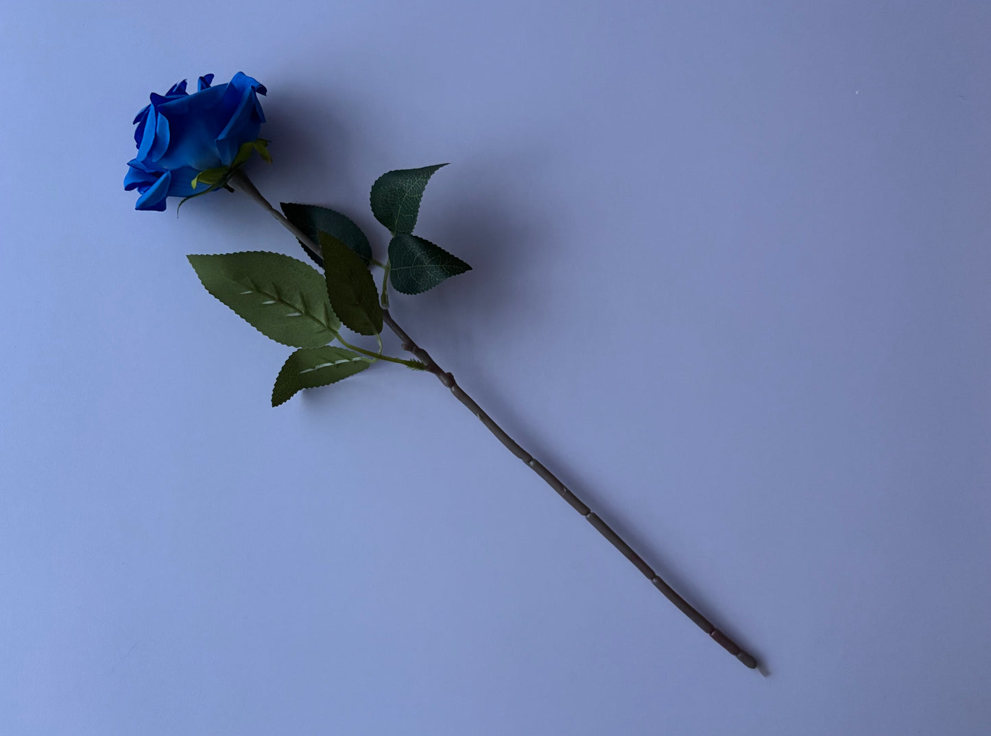 Diamond Blue Rose Stem