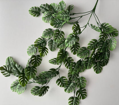 Trailing Monstera Leaf