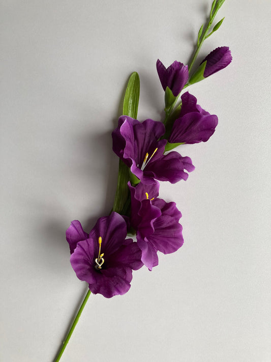Purple Gladiolus Spray