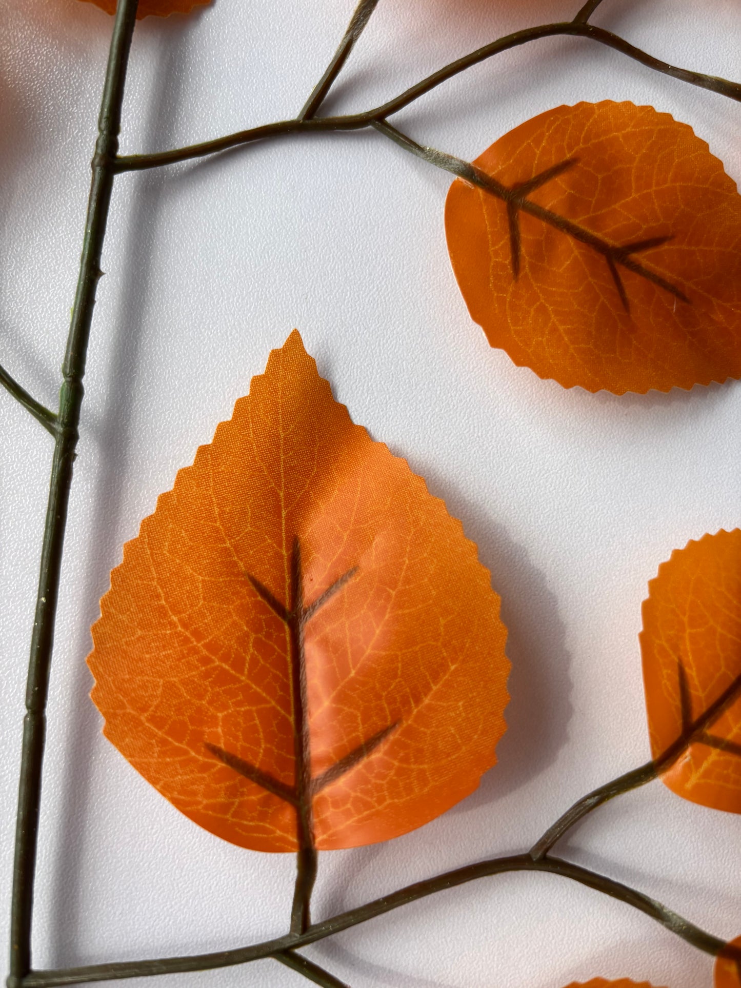 Autumn Ficus Foliage Spray
