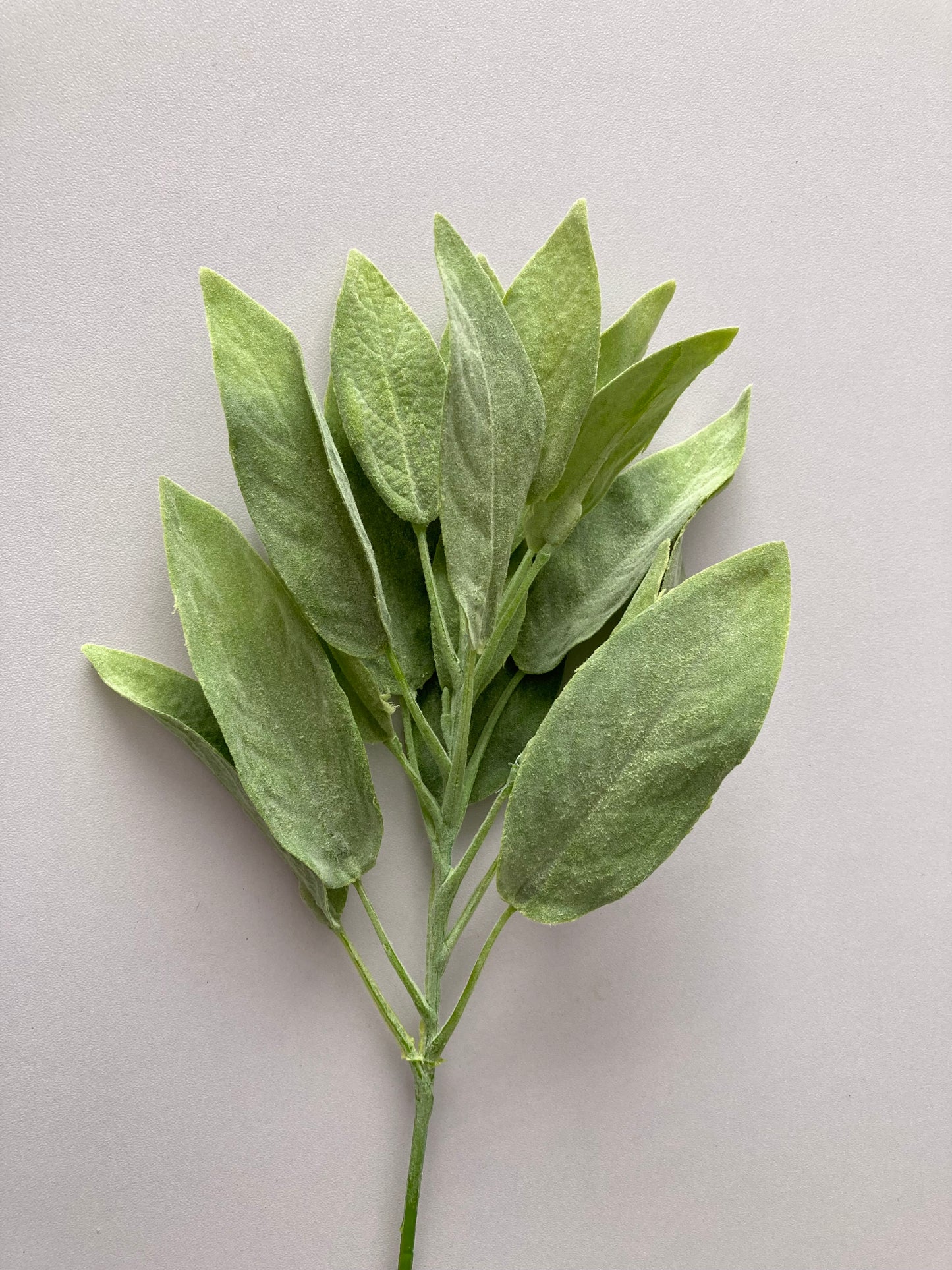 Flocked Sage Foliage Spray