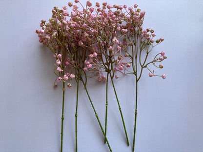 Light Pink Baby's Breath Bunch