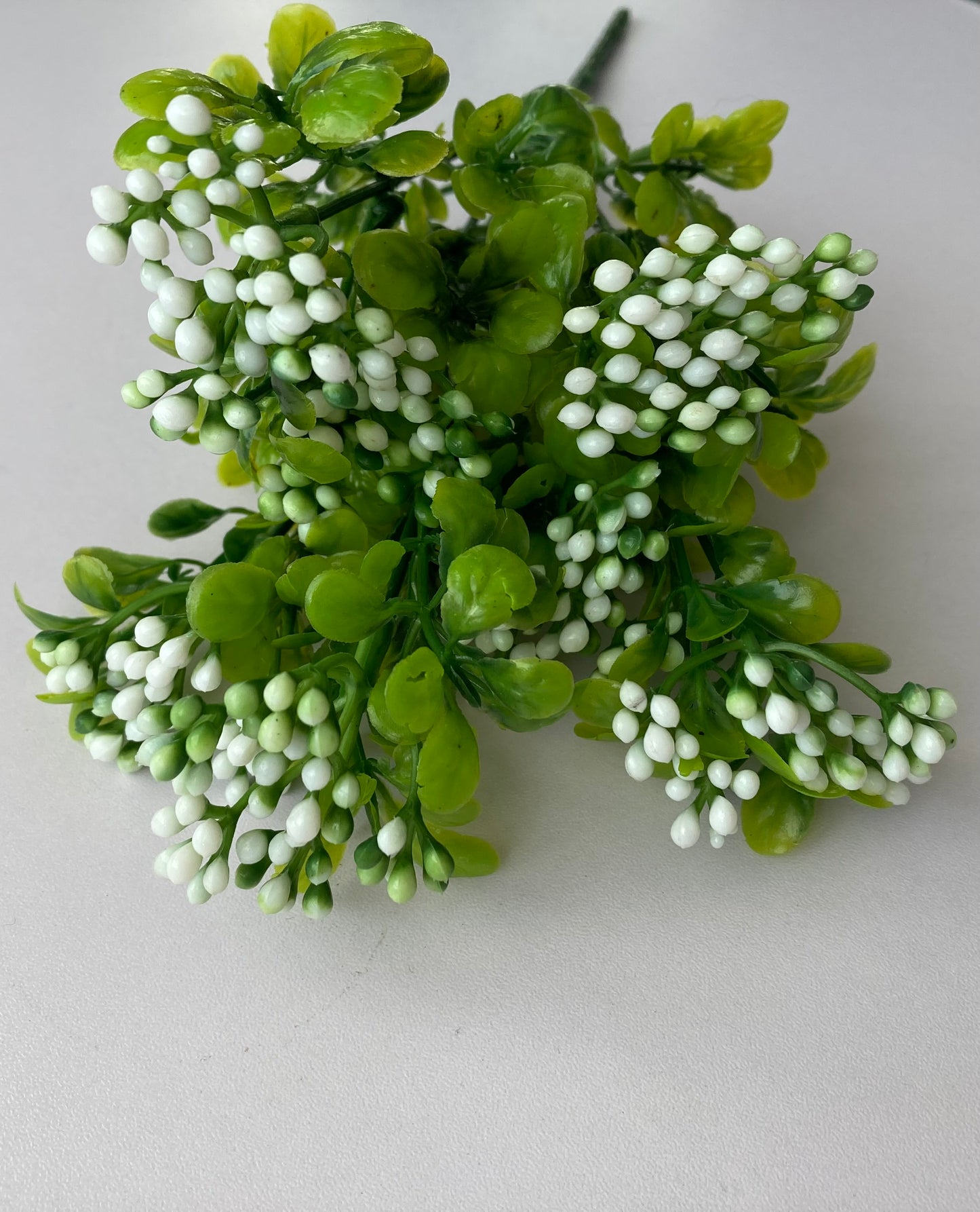 White Berry & foliage