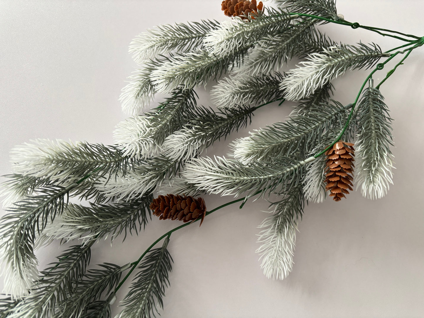 Snowy Tipped Spruce Trailing