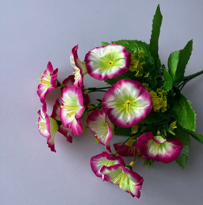 Pink Morning Glory Bunch