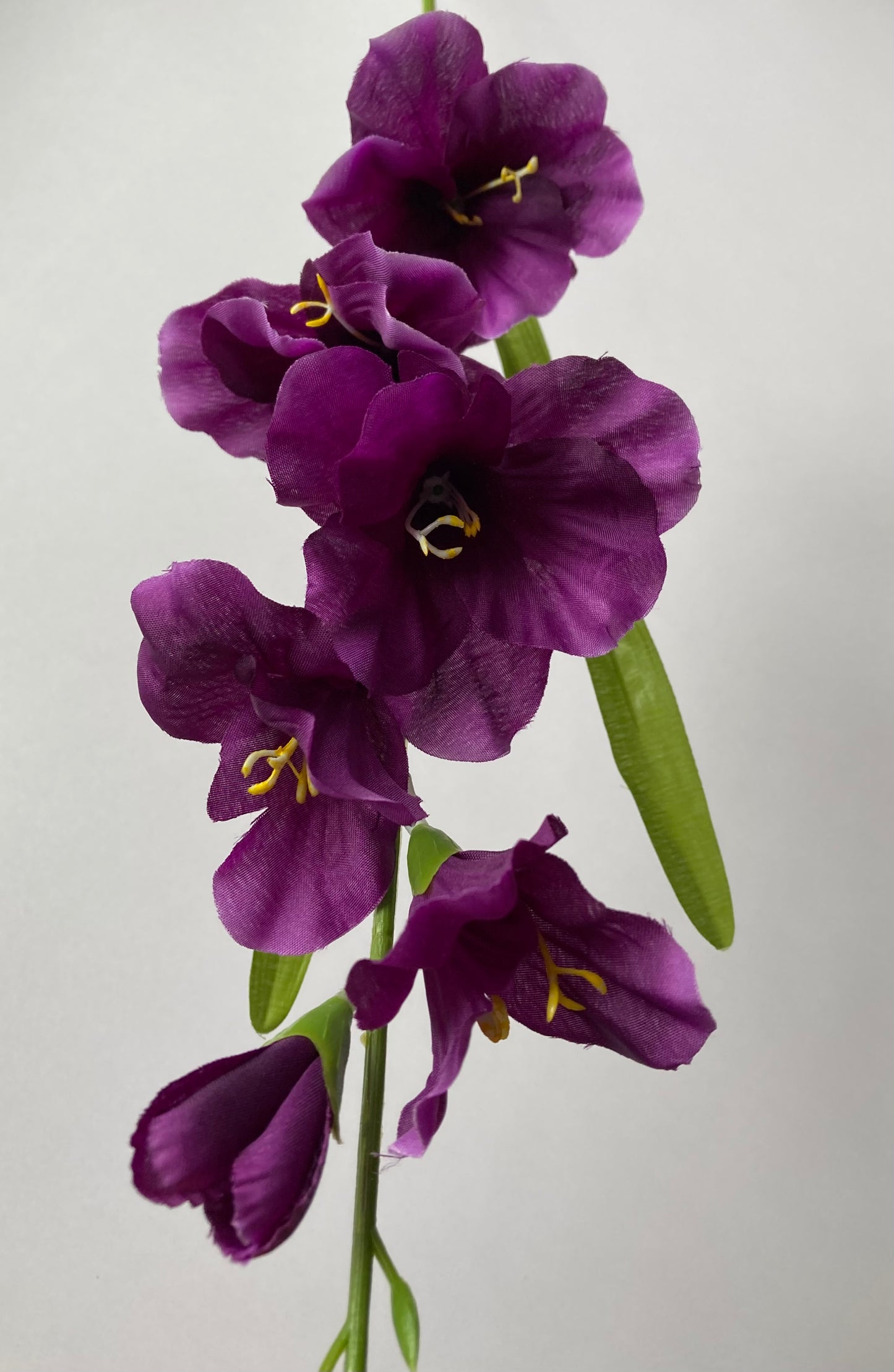 Purple Gladiolus Spray