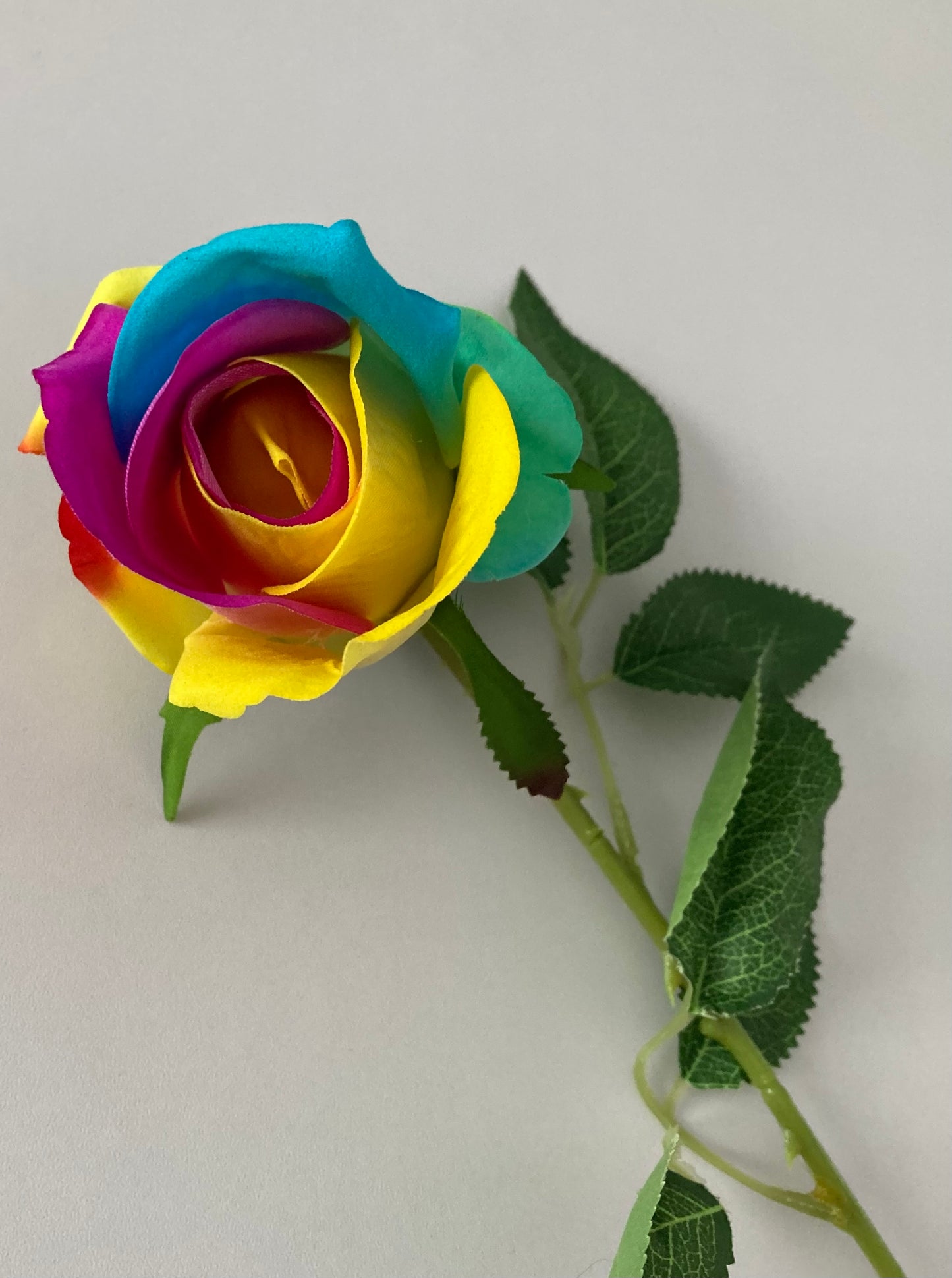 55cm Velvet Rainbow Rosebud