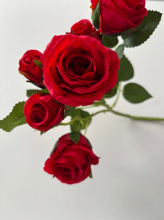 Red Rose Mixed Bud Spray