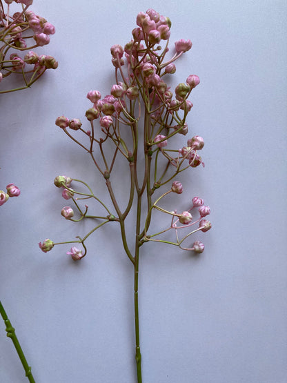 Light Pink Baby's Breath Bunch