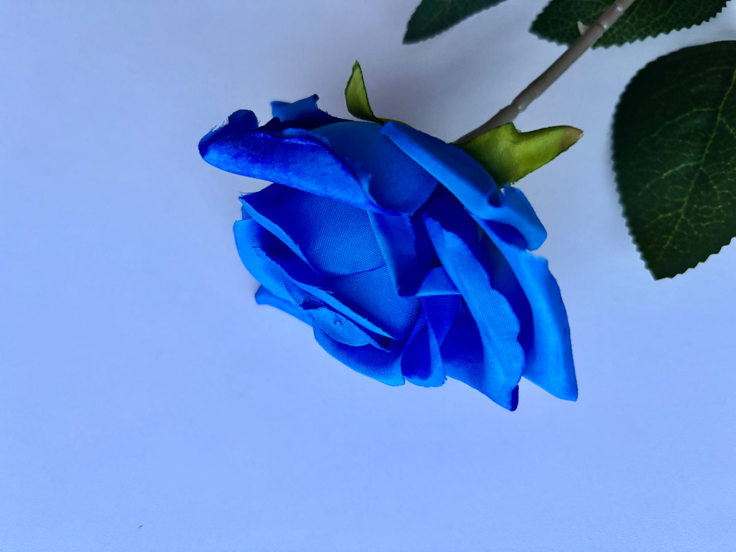 Diamond Blue Rose Stem