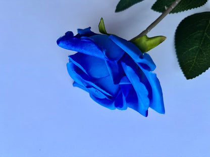 Diamond Blue Rose Stem