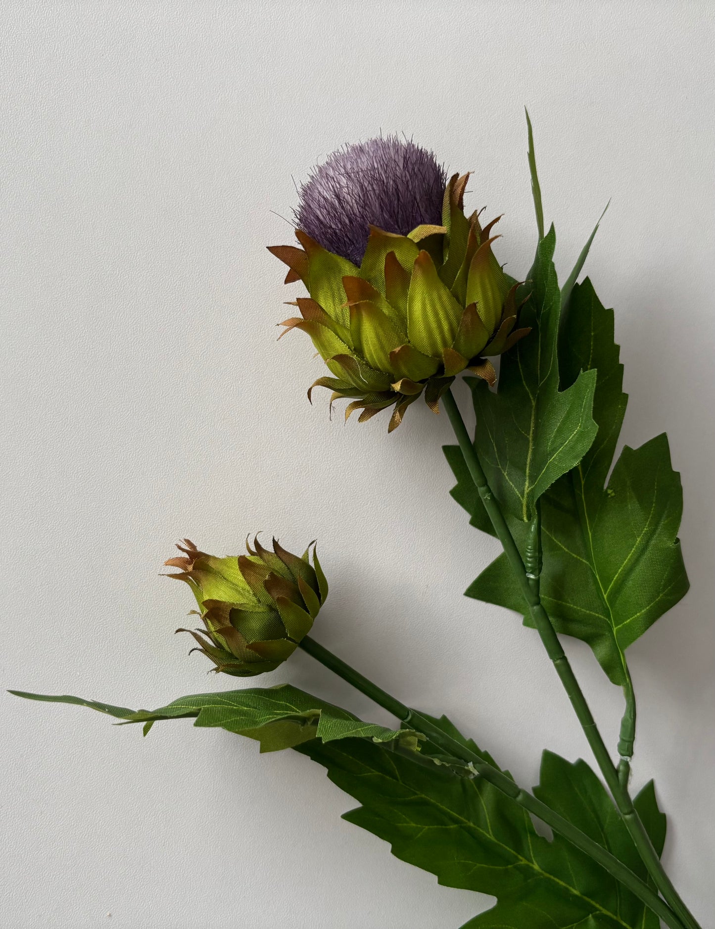 Thistle Spray