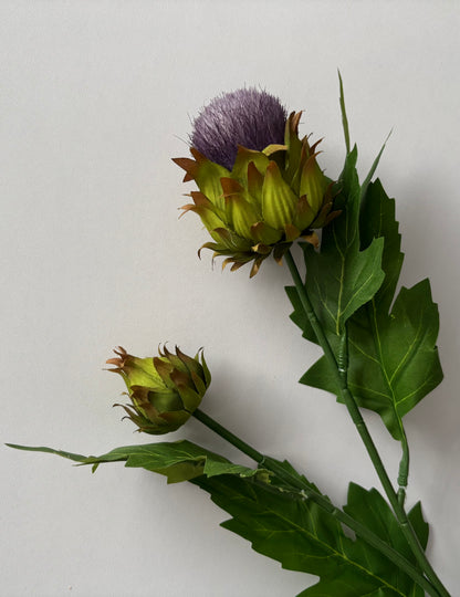 Thistle Spray