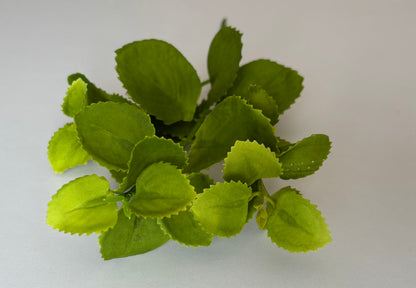 Overhead flat lay shot of an artificial green patchouli leaf foliage spray showing the full spread of all leaves fanning out from above with multiple rounded serrated green fabric silk patchouli leaves in varying sizes filling the frame beautifully against a plain light grey background