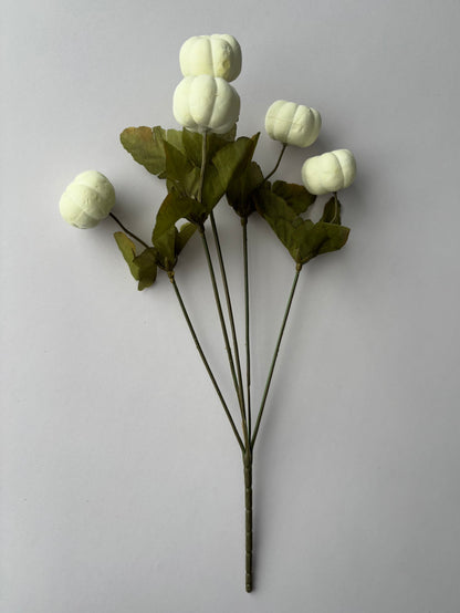 White Pumpkin Bunch