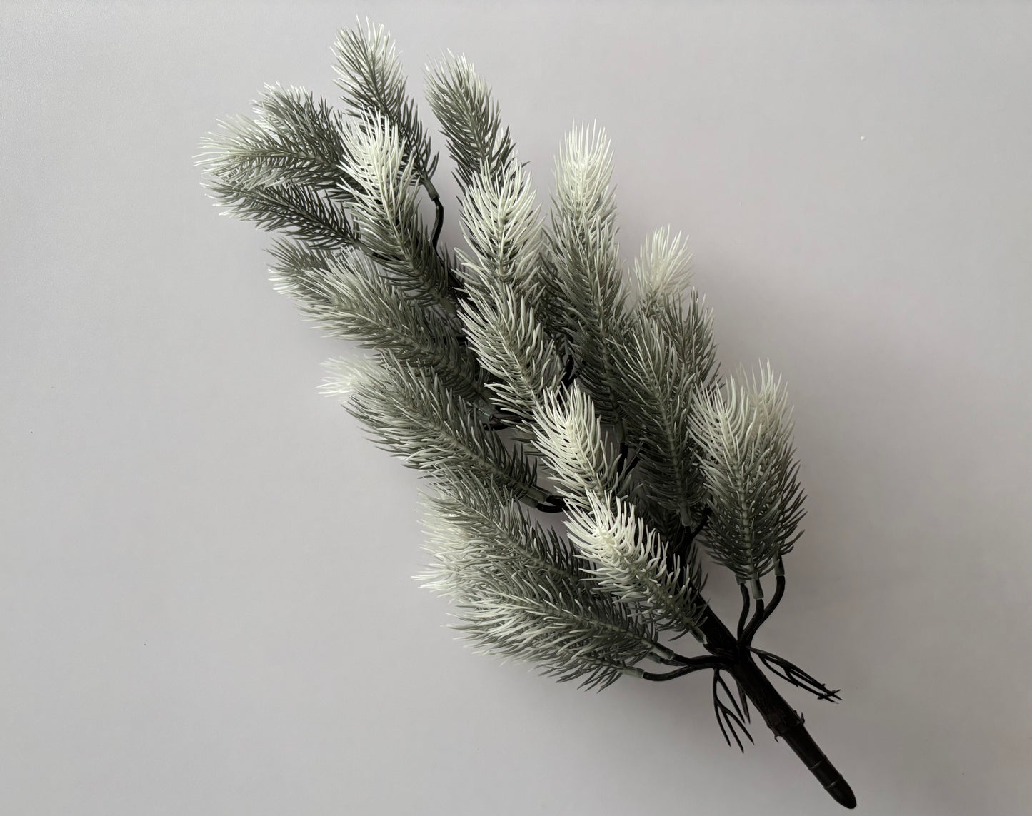 Small Snowy Spruce Tree