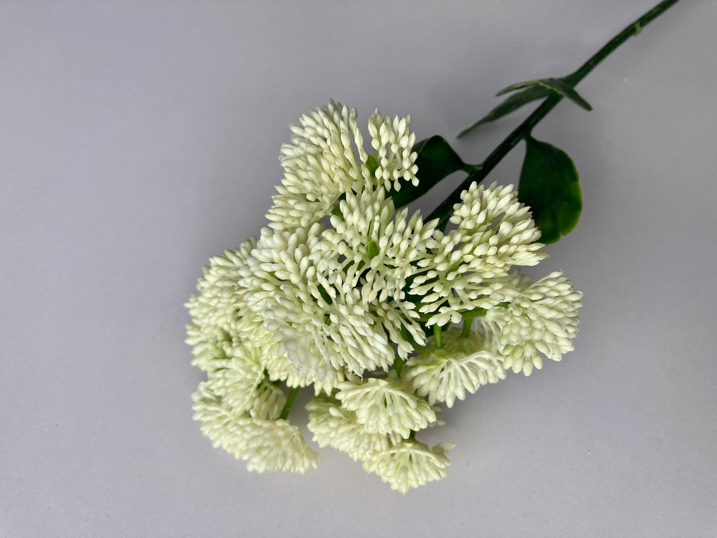 White/Ivory Sedum Spray