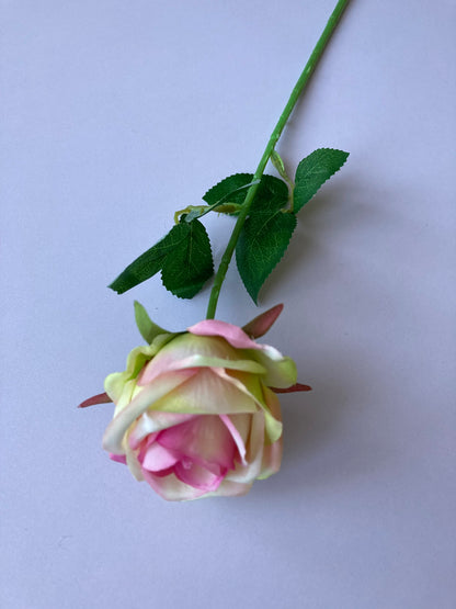 Pink & Green Small Rose