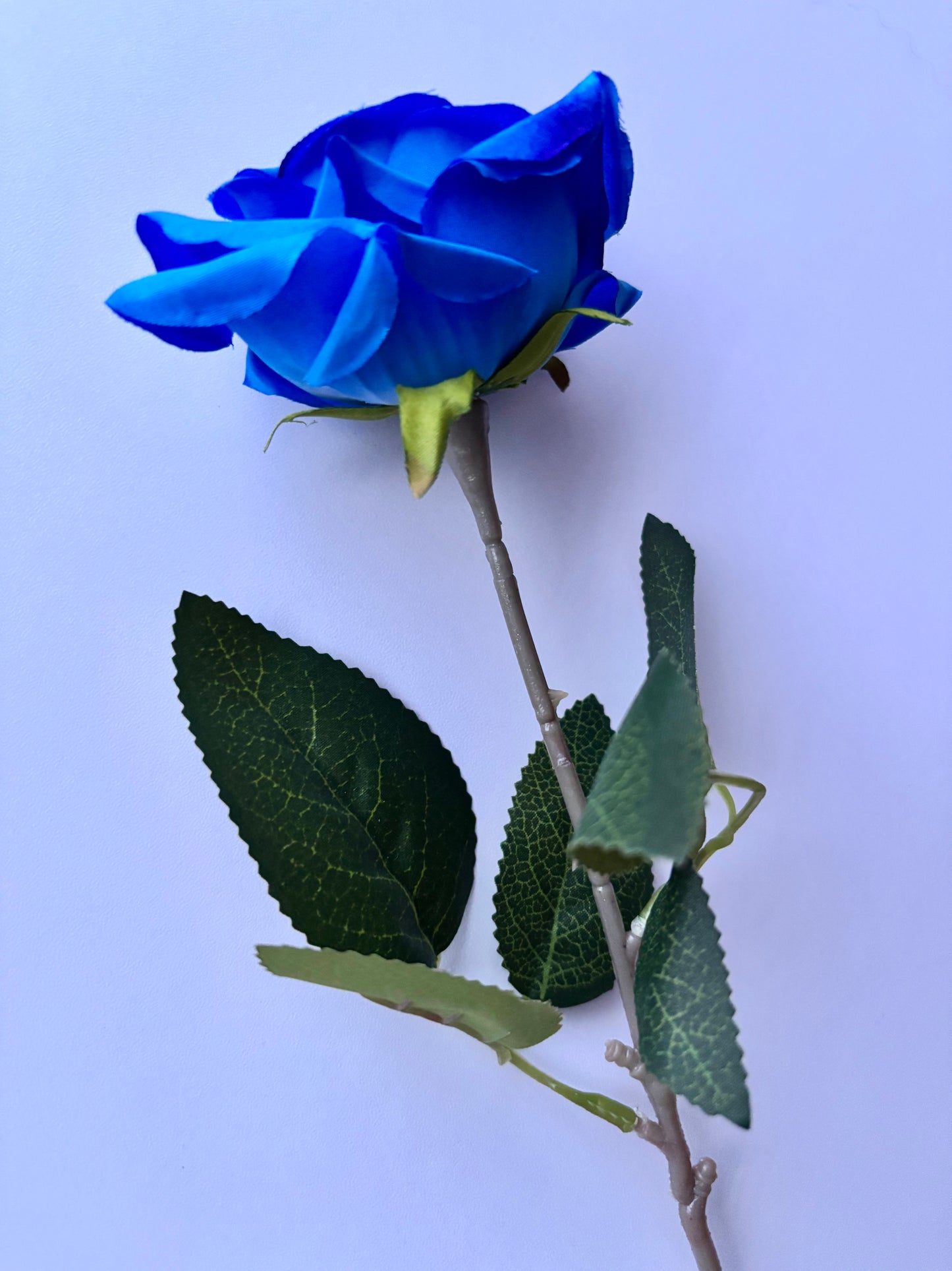 Diamond Blue Rose Stem