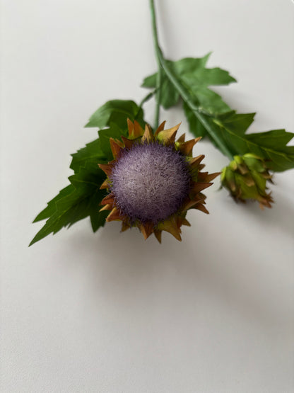 Thistle Spray