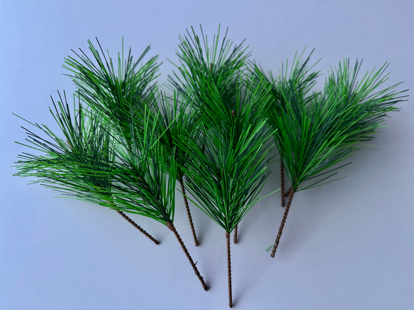 10 Pine Needle Stems