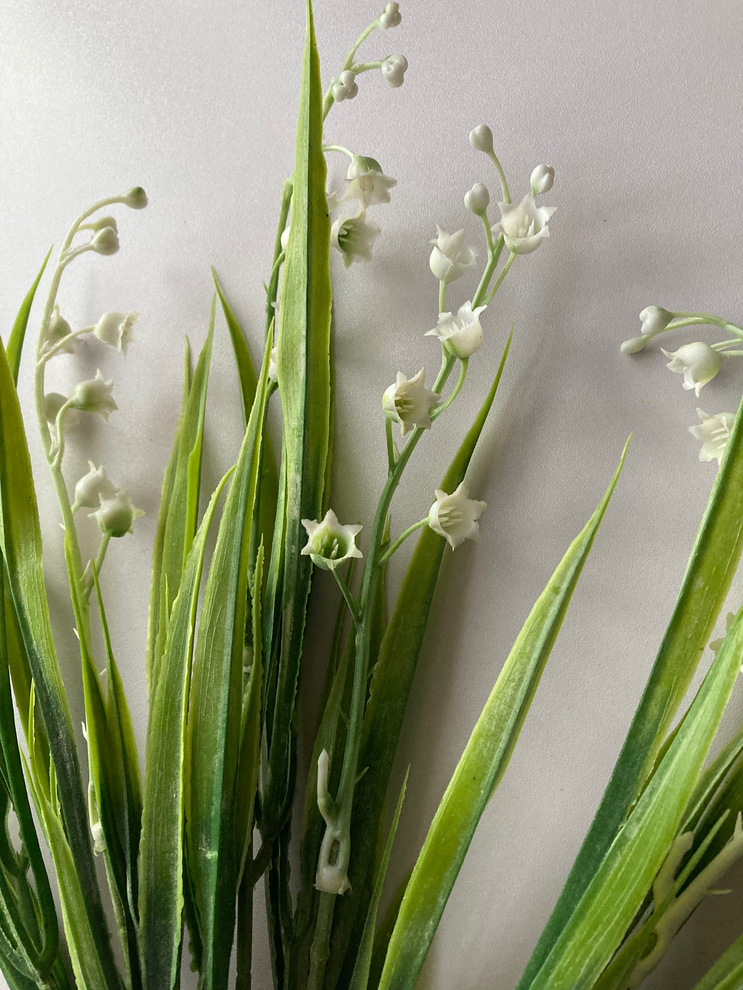 White Lily Of The Valley