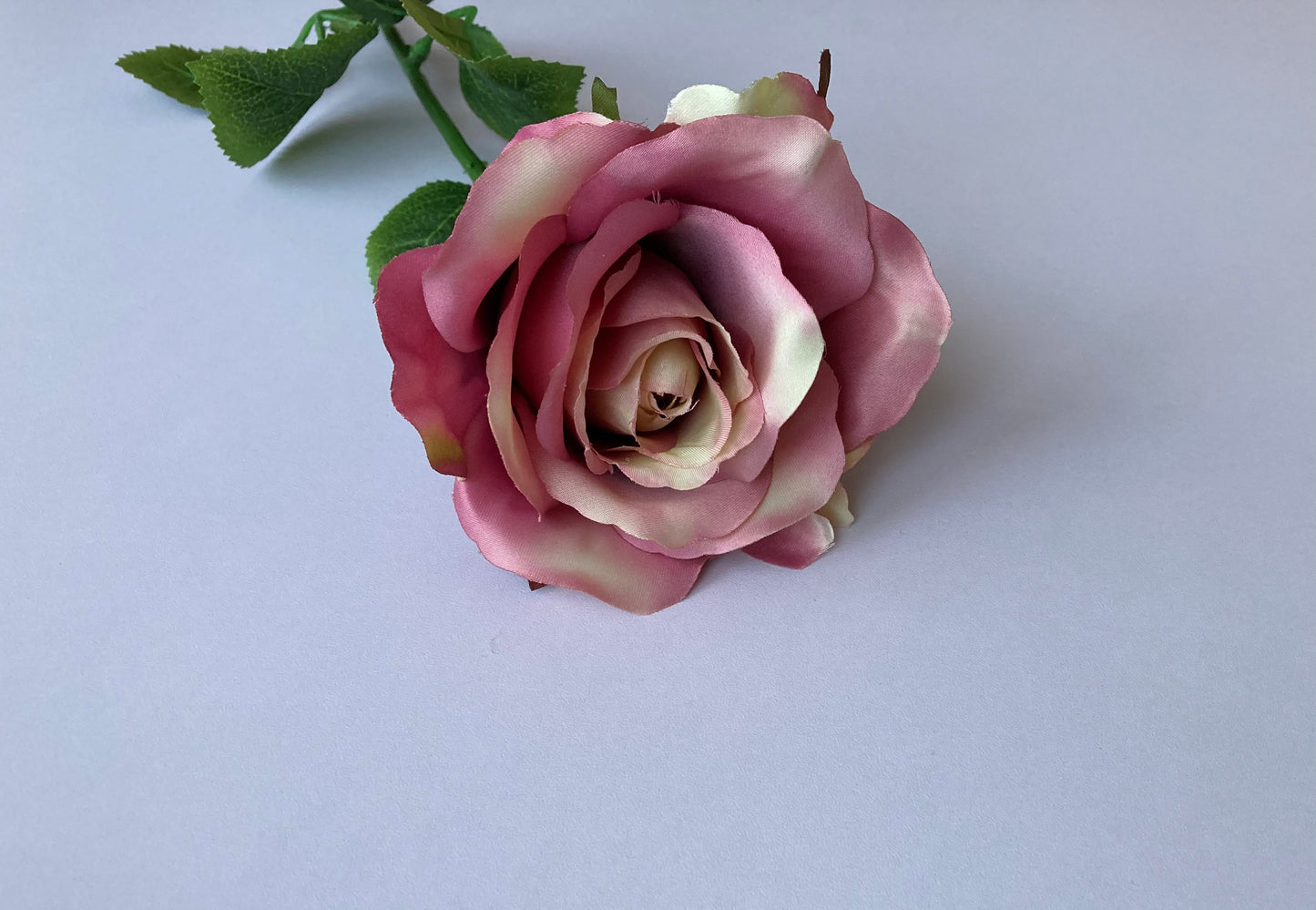 Elegant Open Deluxe Rose