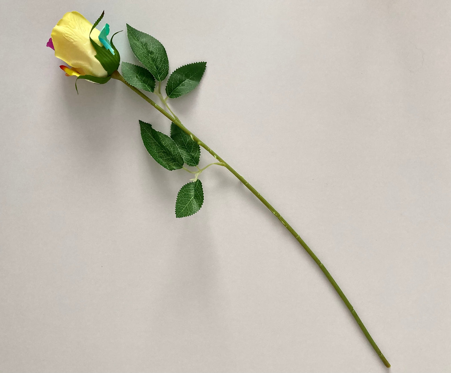 55cm Velvet Rainbow Rosebud