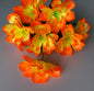 Orange & Yellow Dahlia Bunch