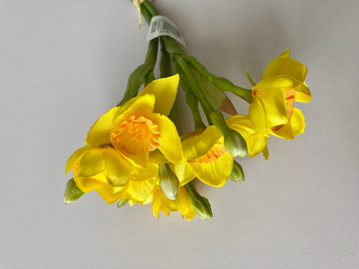 Small Daffodil Bunch