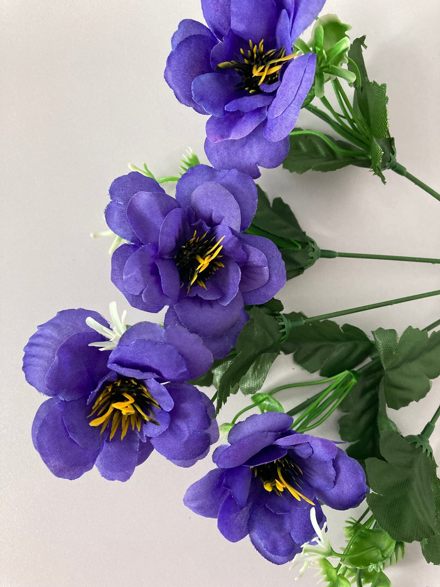5 Purple Anemone Bunch