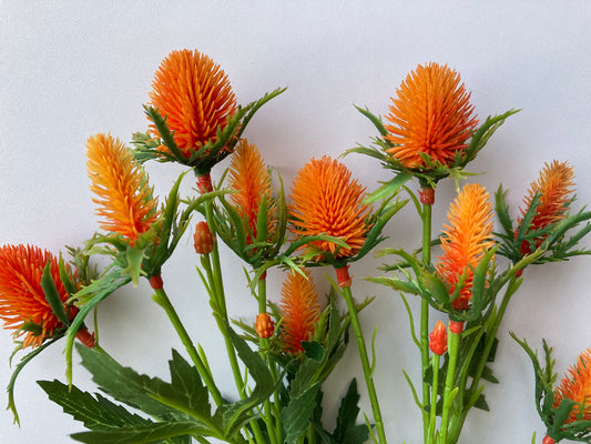 Orange Sea Holly Spray