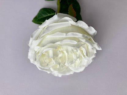 White Open Rose Single Stem