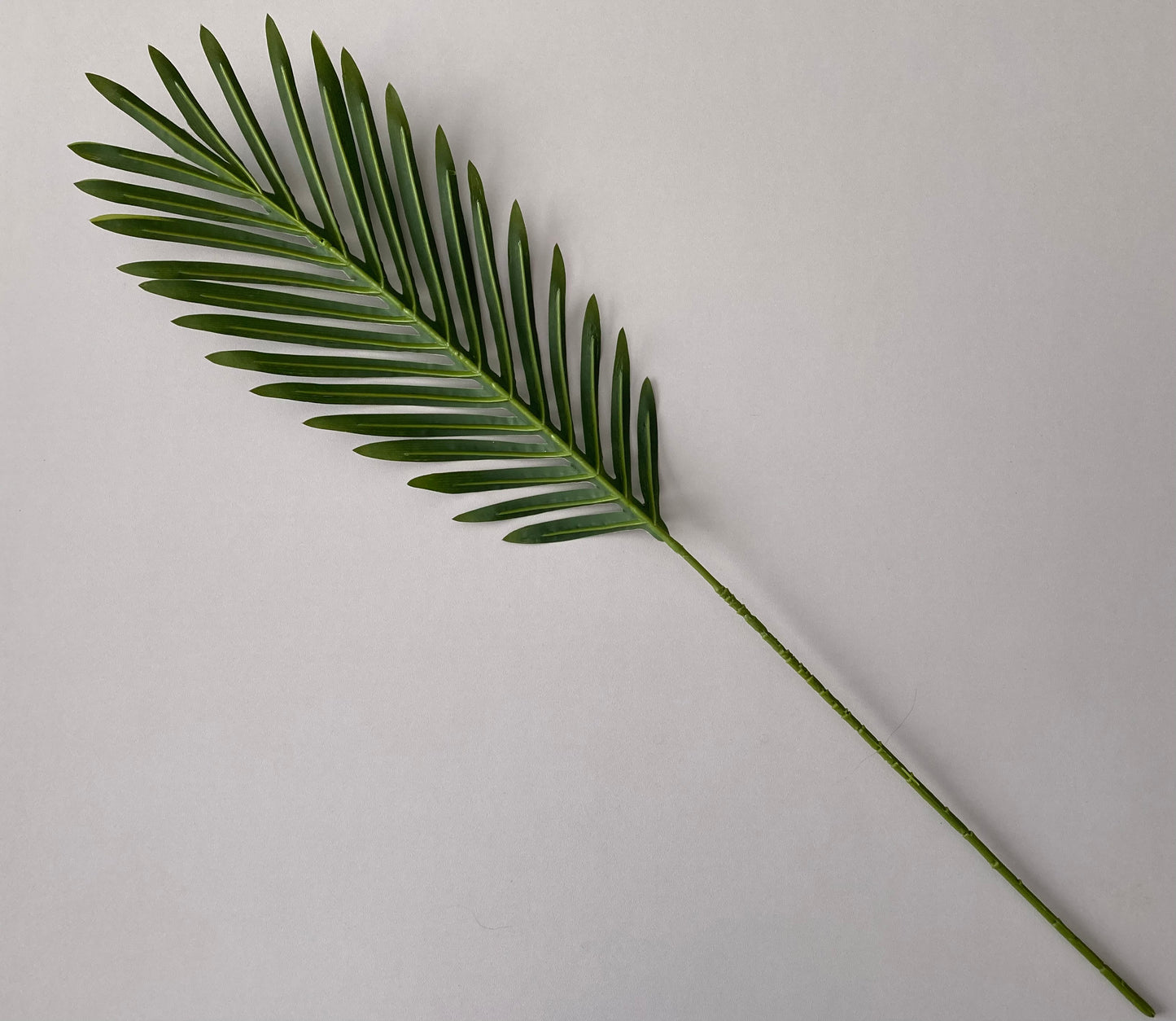 62cm Areca Palm Leaf