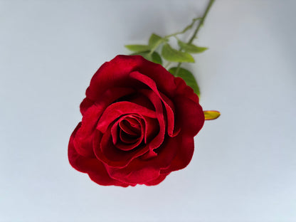 Long Stem Velvet Red Rose