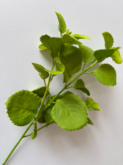 Close diagonal flat lay shot of an artificial green patchouli leaf foliage spray showing the full stem with multiple rounded serrated green fabric silk leaves in varying sizes clearly visible including larger leaves at the base and smaller leaves toward the top all arranged naturally against a plain light grey background