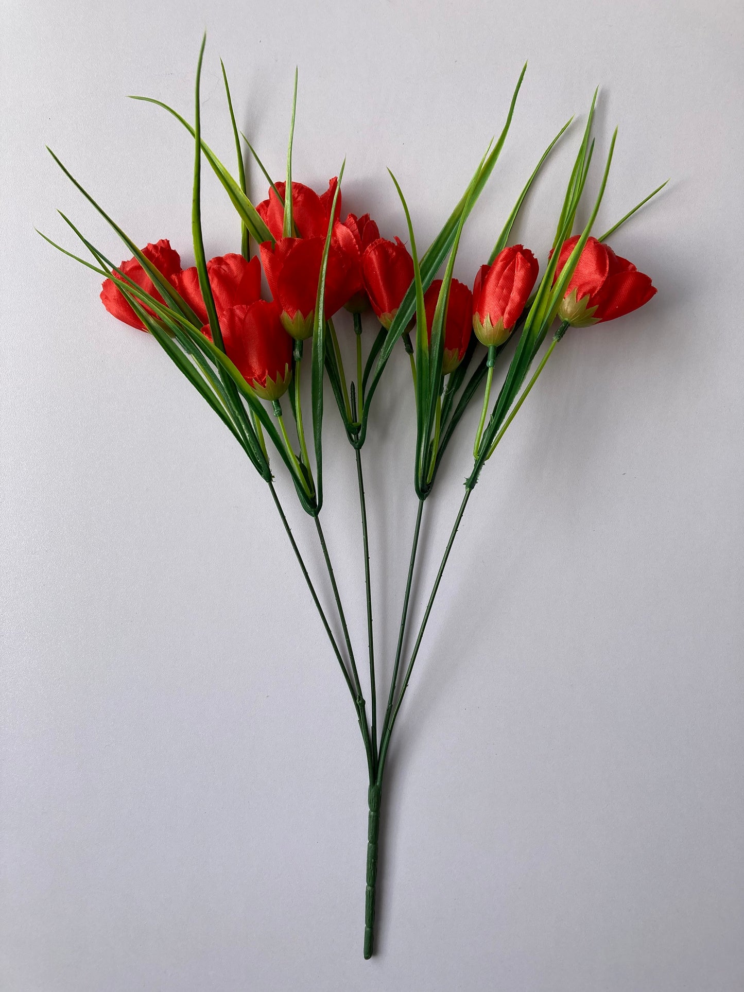 Red Tulip Bunch