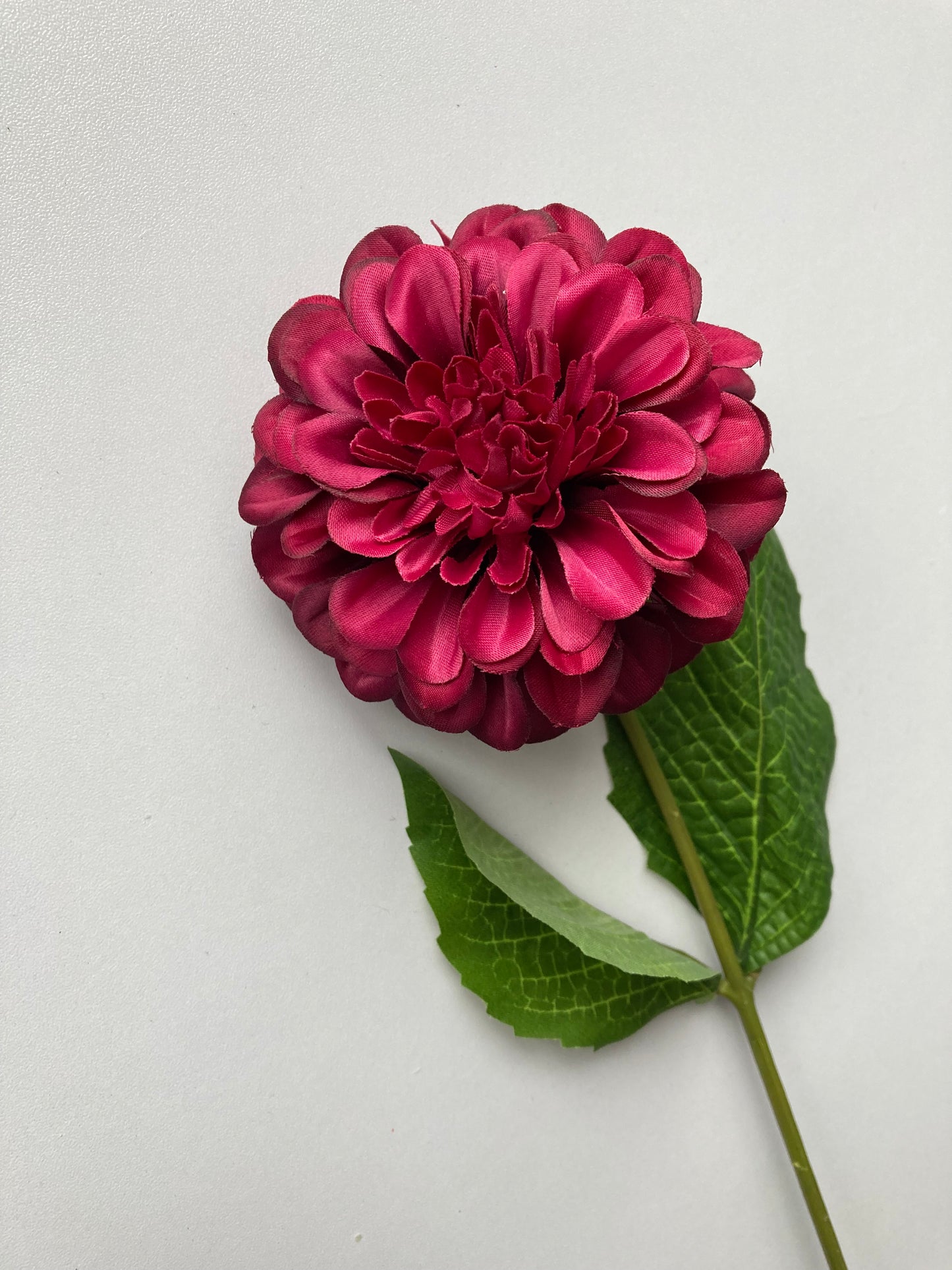 Dark Pink Zinnia Stem