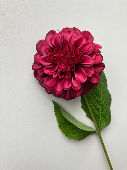 Dark Pink Zinnia Stem