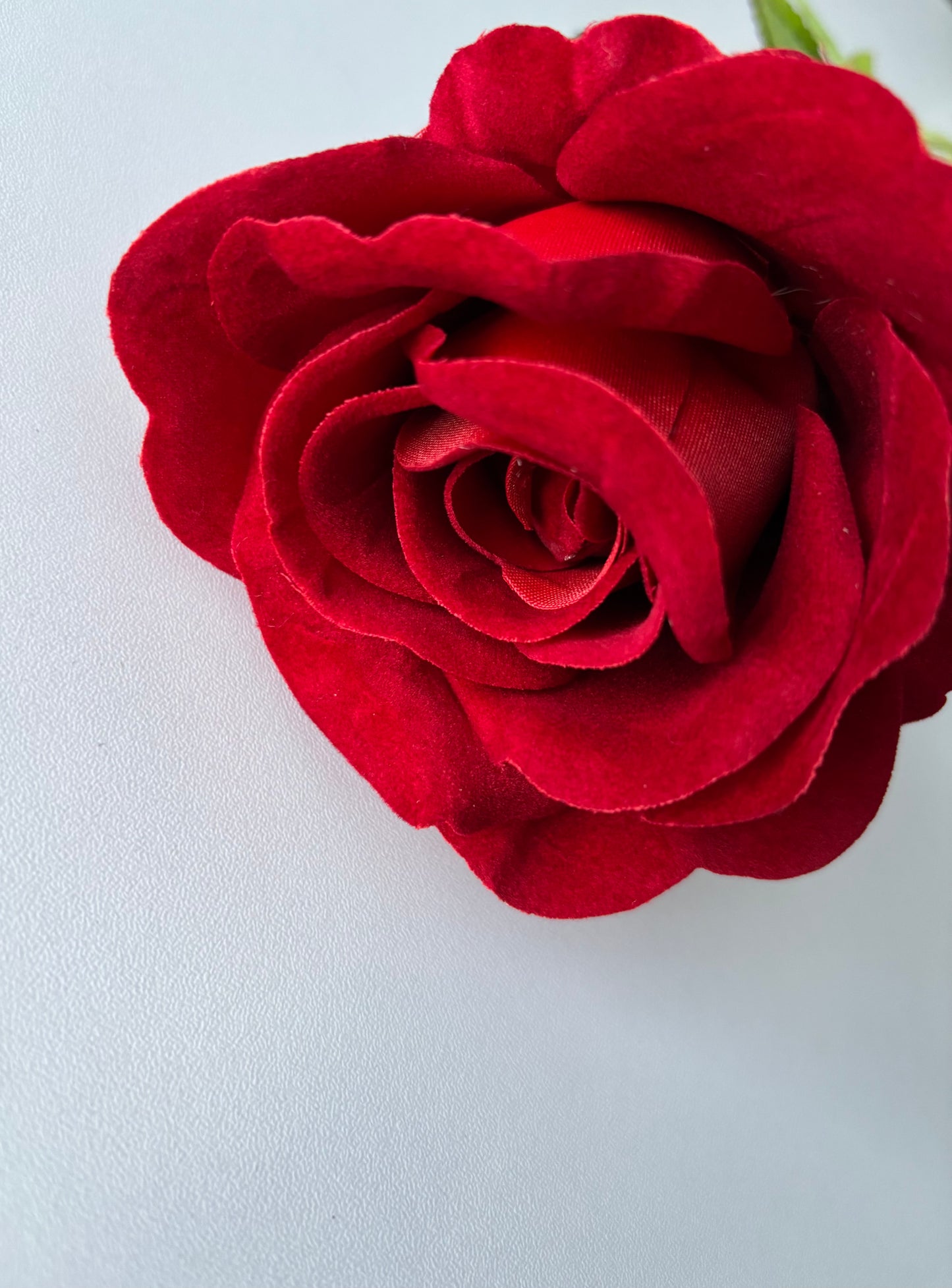 Long Stem Velvet Red Rose