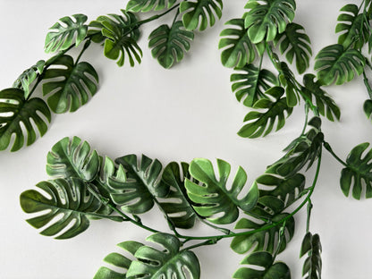Trailing Monstera Leaf